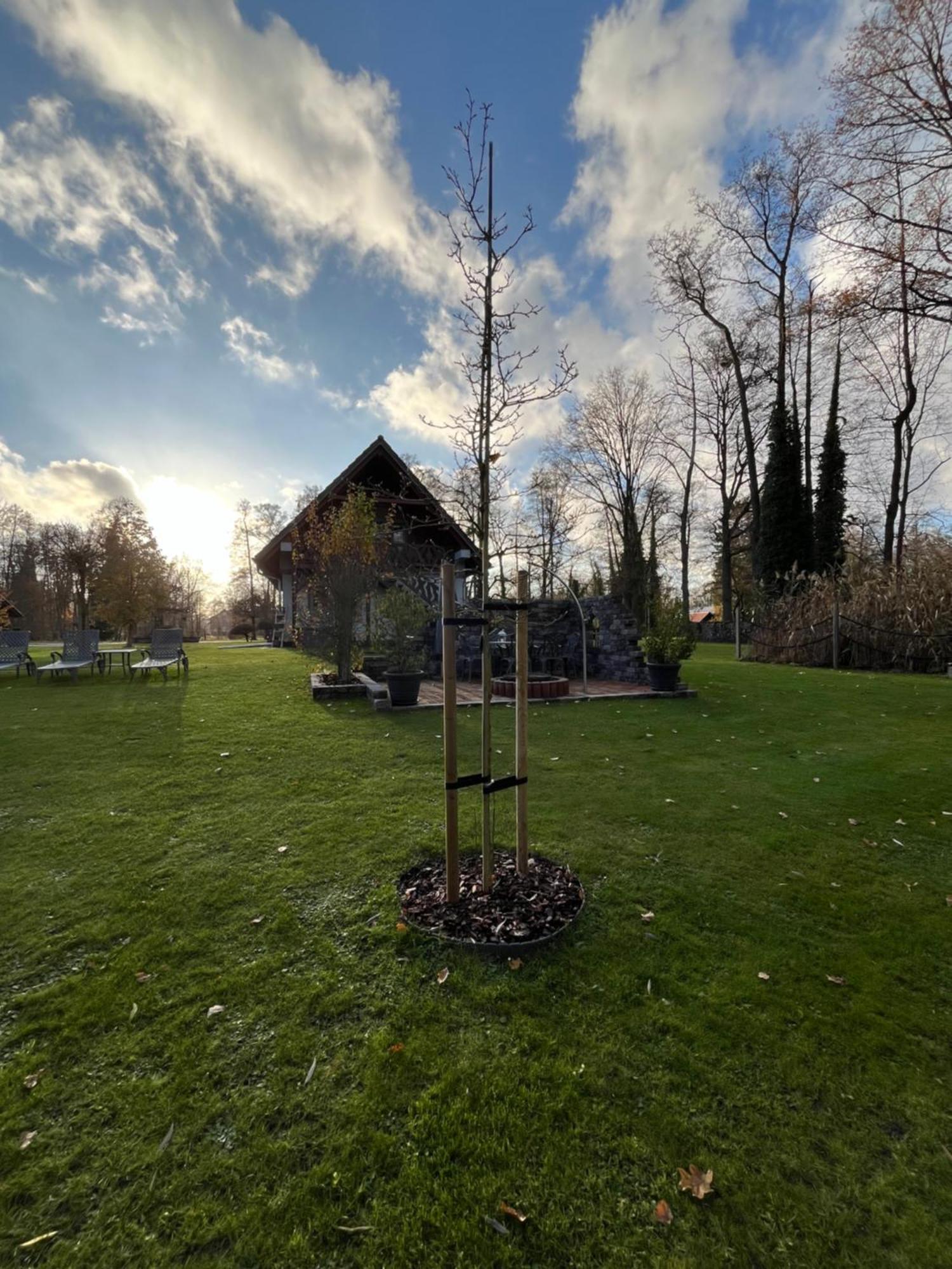 Ferienwohnungen Ast Burg  Kültér fotó